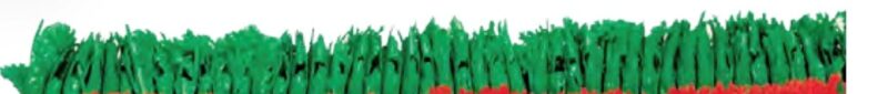 Perejil Verde 2 X 30