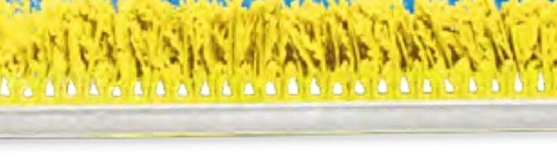 PEREJIL AMARILLO 2"