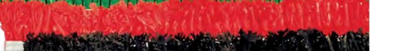 Perejil Rojo 1"