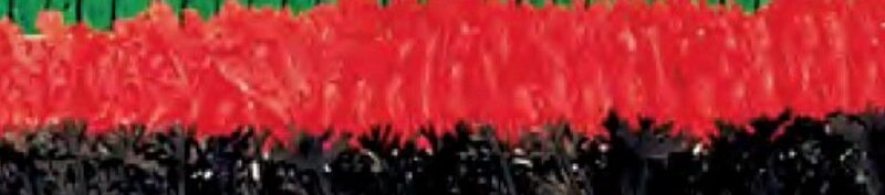 PEREJIL ROJO 1"