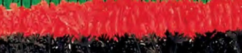 PEREJIL ROJO 2