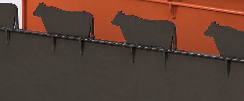 Division Beef / Bronce